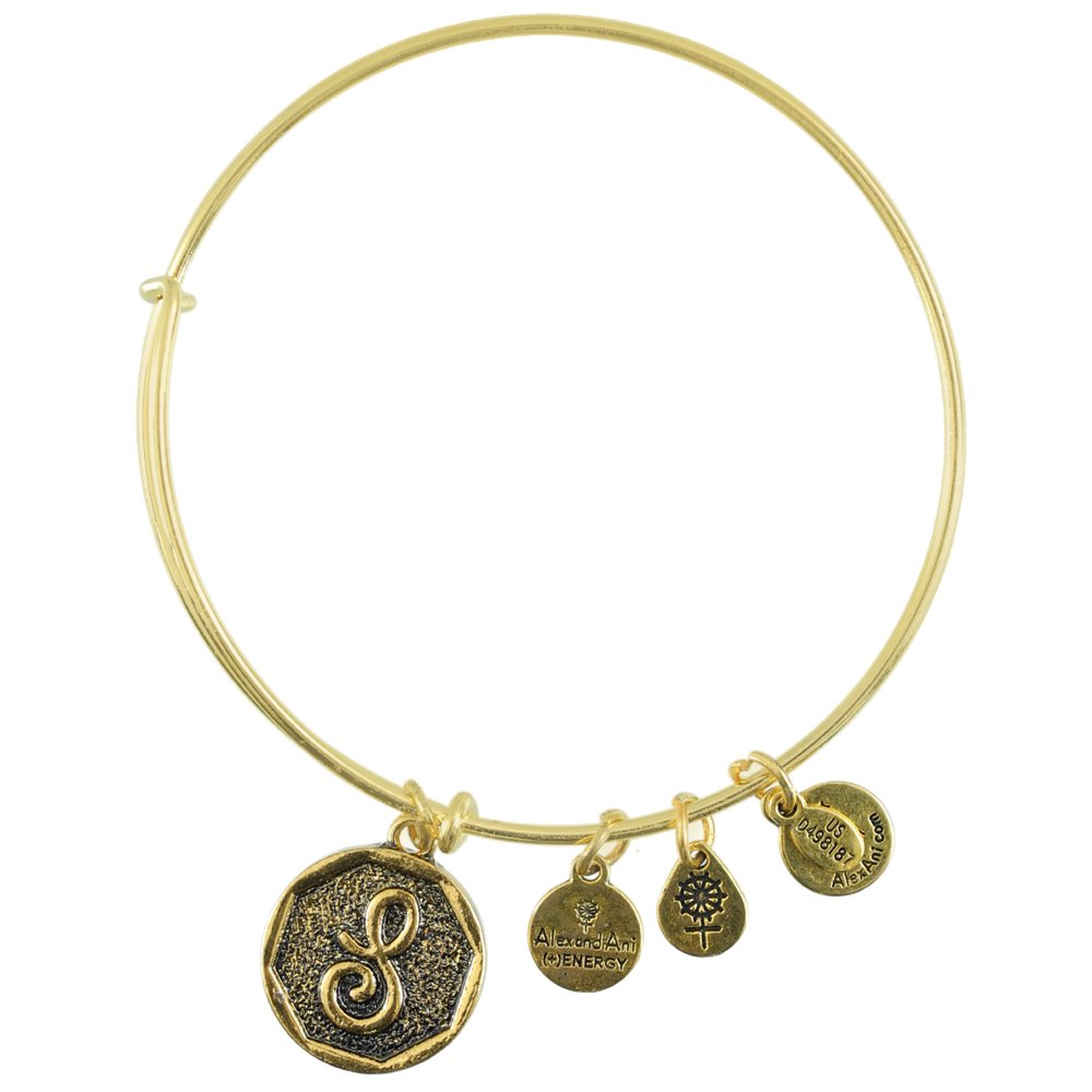 Gold Plated Letter S Energy Bracelet image 1