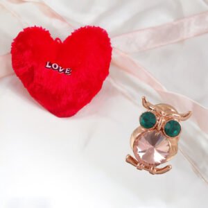 Valentine’s Day Combo Set Owl Brooch with Heart Pillow
